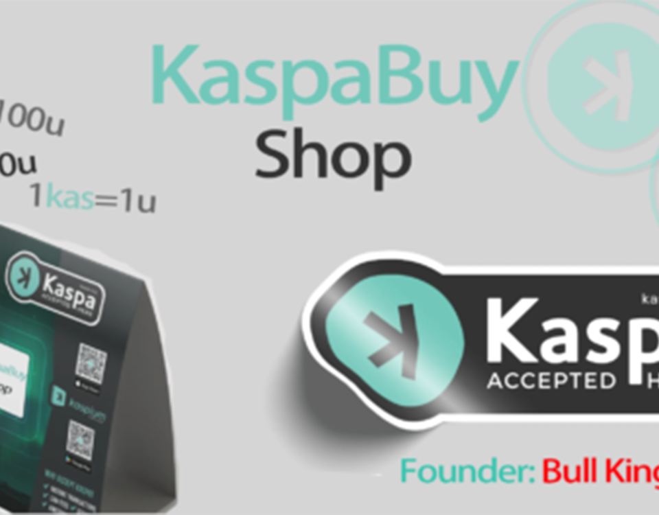 Official Kaspa Merchandise Shop