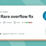 Rusty Kaspa node startup resource meter protected from integer overflow