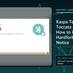 Kaspa Testnet 10 nodes coordinating around a Toccata activation point